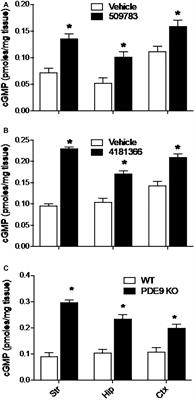 Phosphodiesterase 9A in Brain Regulates cGMP Signaling Independent of Nitric-Oxide